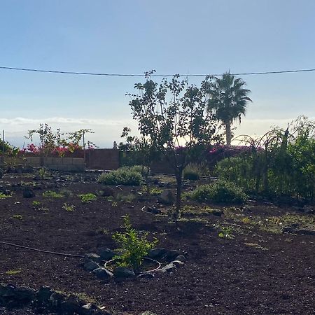Finca Arcoiris Tenerife Vv 吉亚德索拉 外观 照片