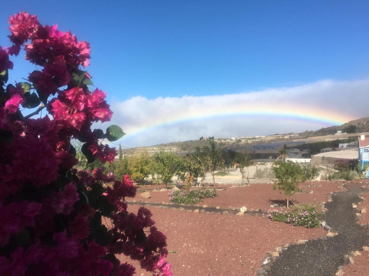 Finca Arcoiris Tenerife Vv 吉亚德索拉 外观 照片